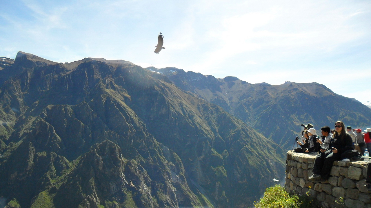 Colca Canyon Full day tour