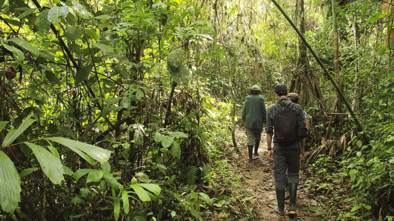 Manu national Park 3 days Tour