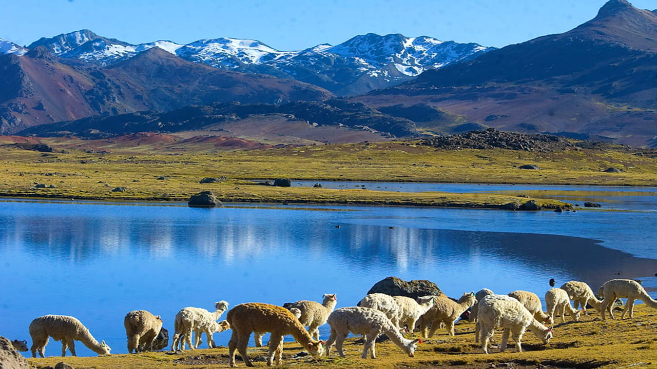 Ausangate Trek 4 days